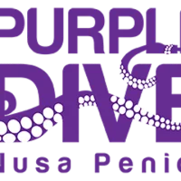 Purple Dive Penida logo