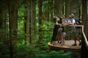 Redwoods Treewalk logo