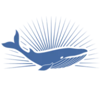 Salty Cabo Excursions logo