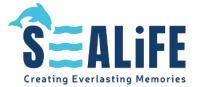 Sealife Dolphin Watching logo