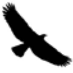 Skagway Float Tours logo