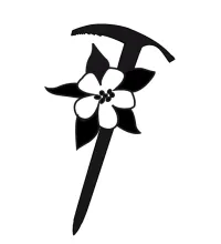 Skyward Mountaineering logo