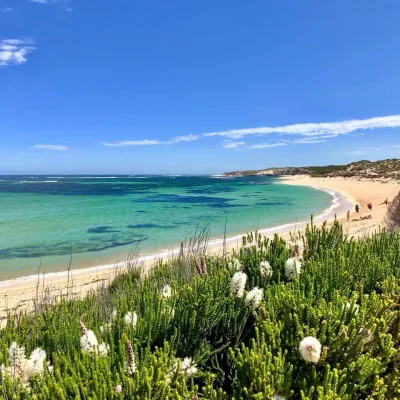 Surfpoint Margaret River logo