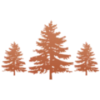 Timberlee Hills logo