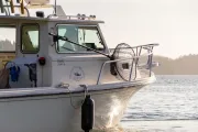 Tofino Ocean Adventures logo