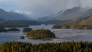 Tofino Resort + Marina logo