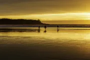 Tofino Surf School logo