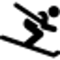 Torian Plum Ski Shop logo