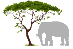 Udawalawa Safari logo