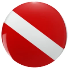 Vietnam Active Diving Center logo