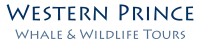Western Prince Whale Watching logo