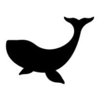 Whale Songs Noosa logo