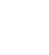 Whangamata Surf School logo