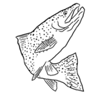 Whistler Fishing Guides logo