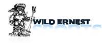 Wild Ernest Sports logo