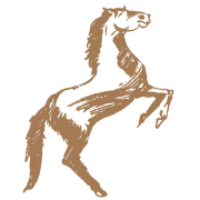 Wild Horse Adventure Tours logo