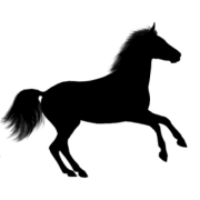 Willow Creek Horseback Rides logo