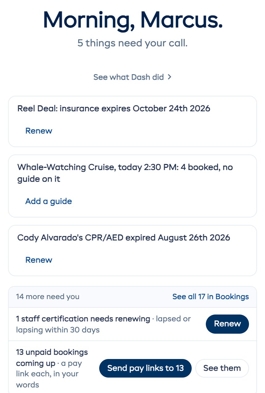 Dash's morning list: an insurance renewal, a cruise with no guide, an expired CPR card and 13 unpaid bookings with a button to send pay links