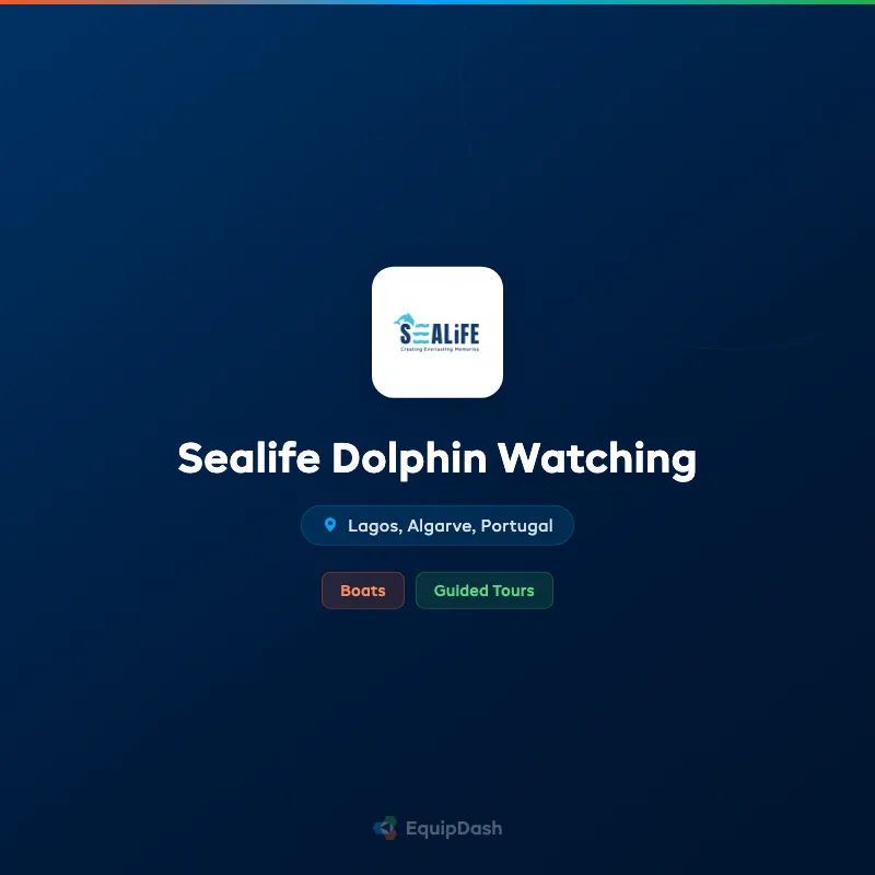 Sealife Dolphin Watching