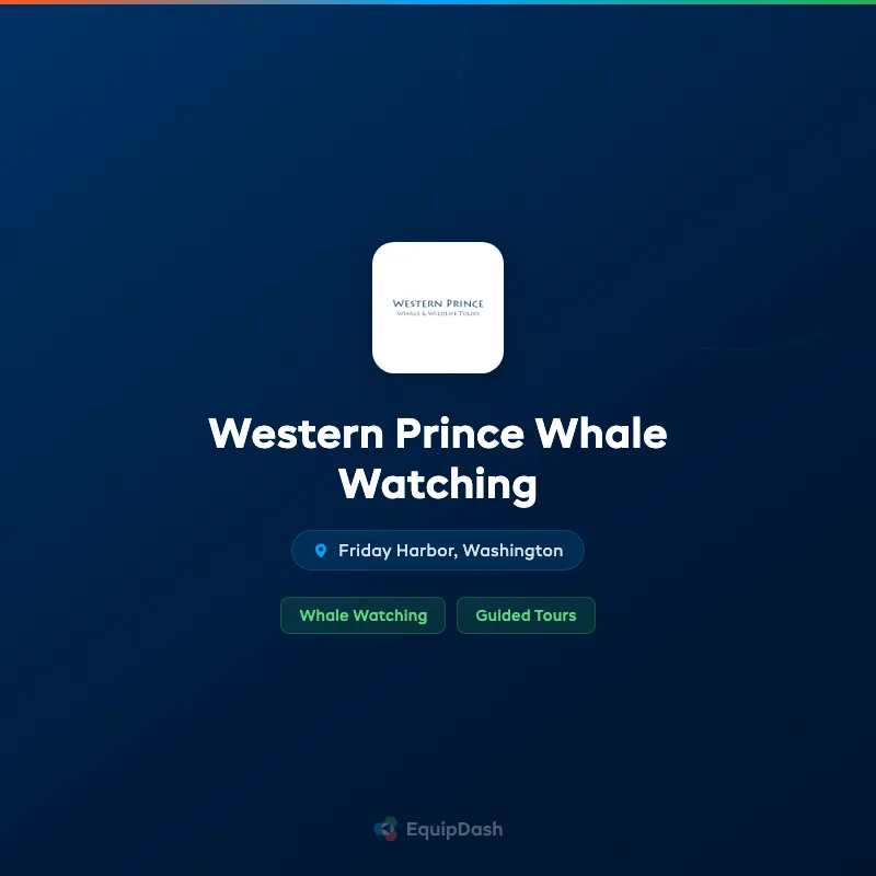 Western Prince Whale Watching