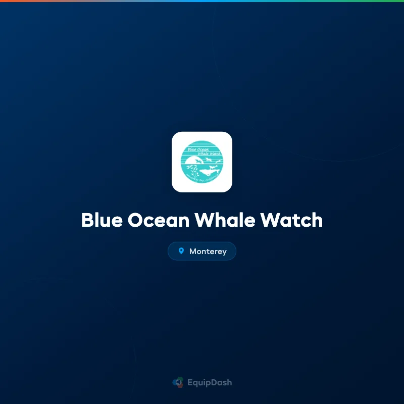 Blue Ocean Whale Watch