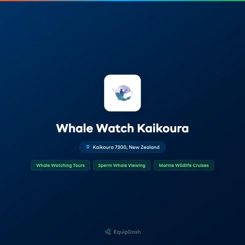 Whale Watch Kaikoura