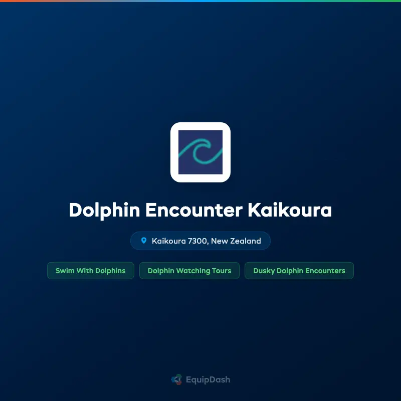 Dolphin Encounter Kaikoura
