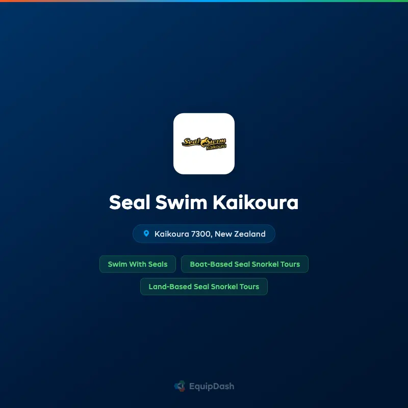 Seal Swim Kaikoura