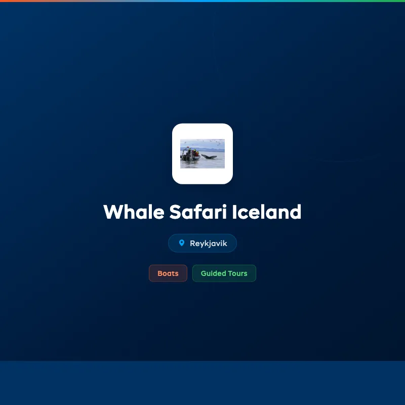 Whale Safari Iceland