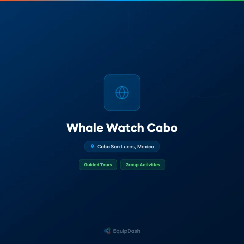 Whale Watch Cabo