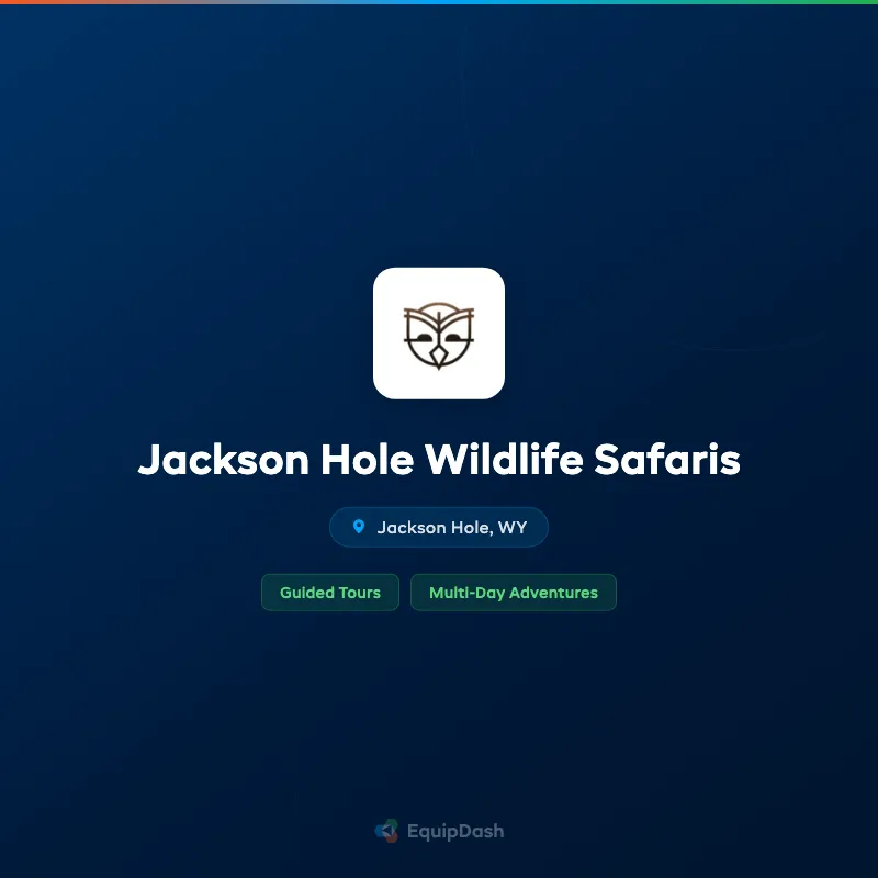 Jackson Hole Wildlife Safaris